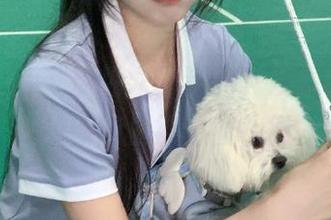 亏我以为永不迷路，没想到在cgw的新闻里被带着扑街…