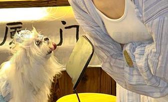 166fun.热点黑料发布的导航，我已经标记了好几个迷失地点…
