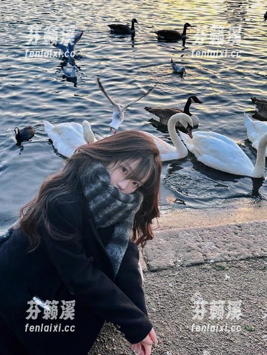 黑料不打烊 直达地址一,黑料不打烊安静奉上最新爆料,边吃边聊吧
