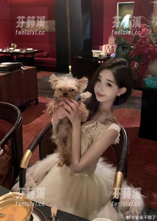 黑料正能量 永久享受黑料正能量,视频区可真不简单!